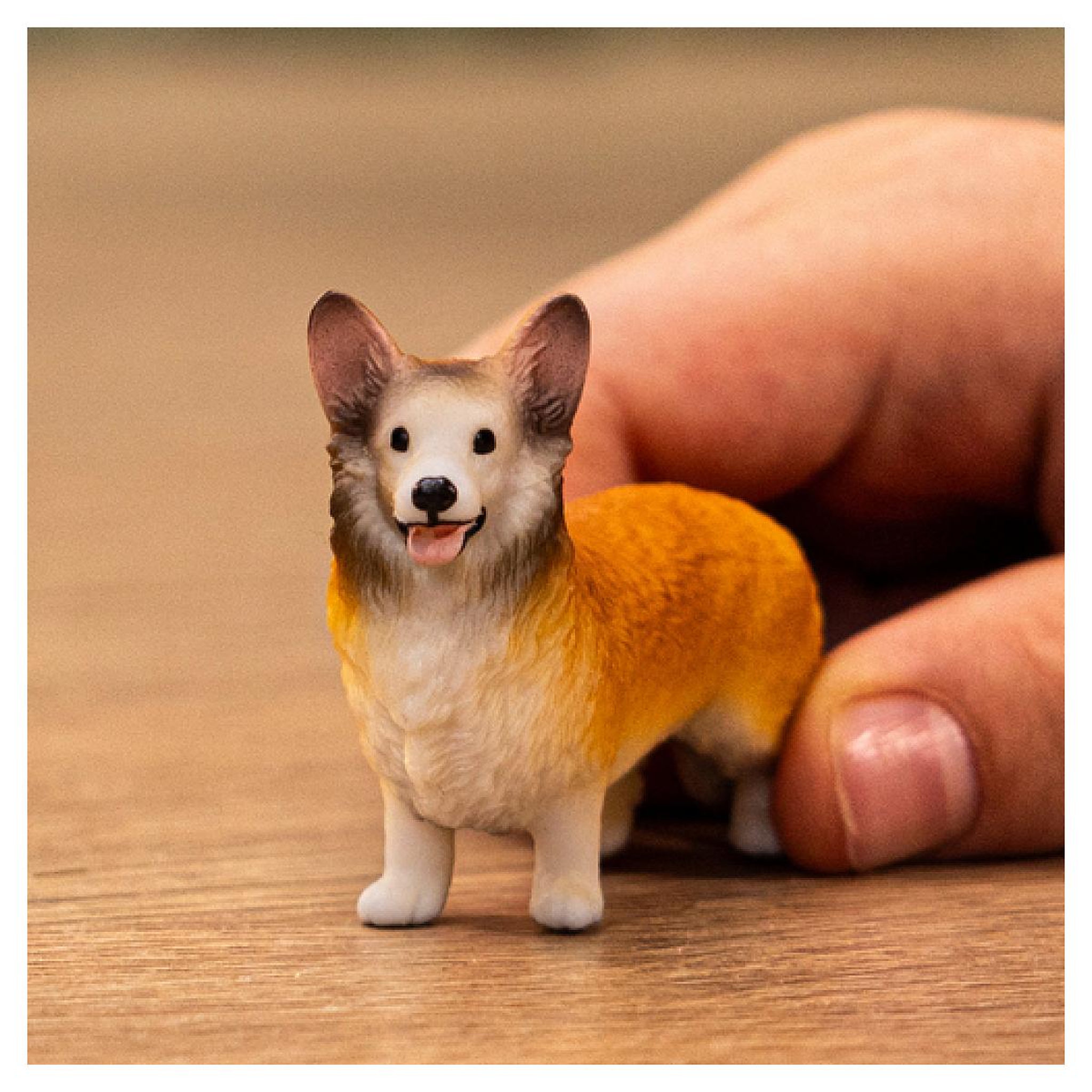 Voir la diapositive 2 : Schleich 13999 figurine Chien Welsh Corgi