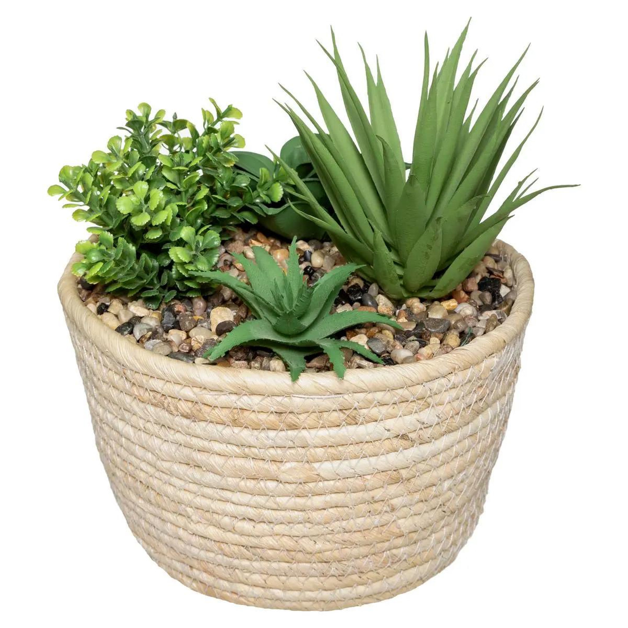 ATMOSPHERA Plante artificielle  composition  18cm naturel & vert