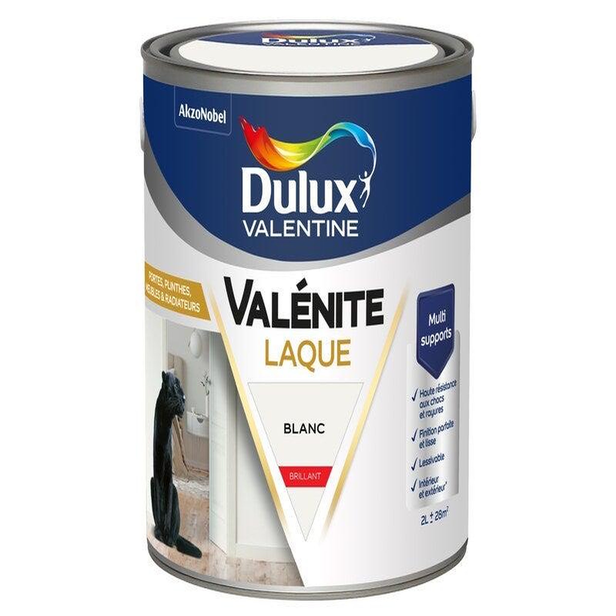 CENTRALE BRICO Peinture boiserie blanc brillant dulux valentine valenite 2l