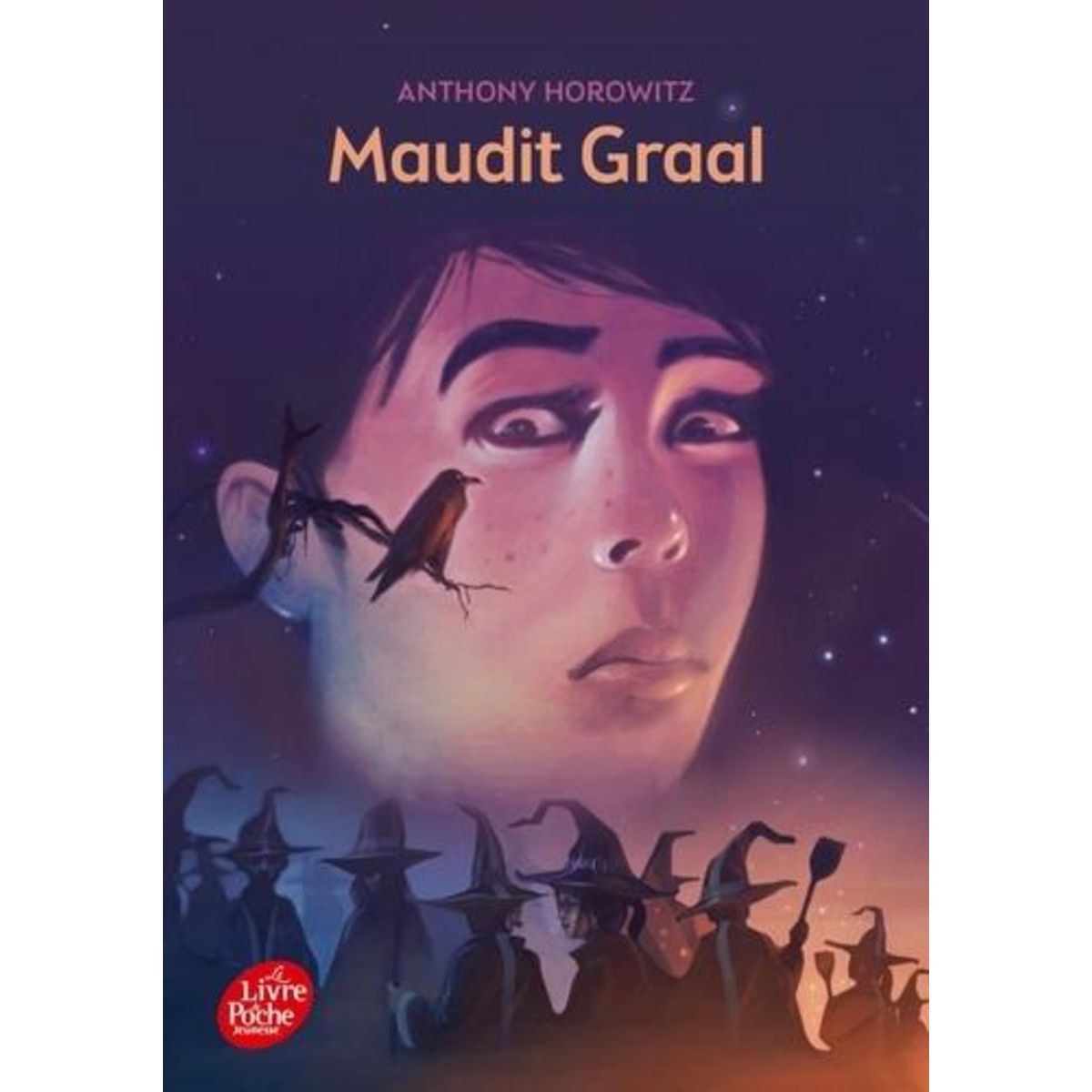 DAVID ELIOT TOME 2 : MAUDIT GRAAL, Horowitz Anthony