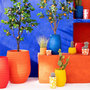 Voir la diapositive 4 : Paris Prix Vase en Céramique  Fiesta  23cm Rouge