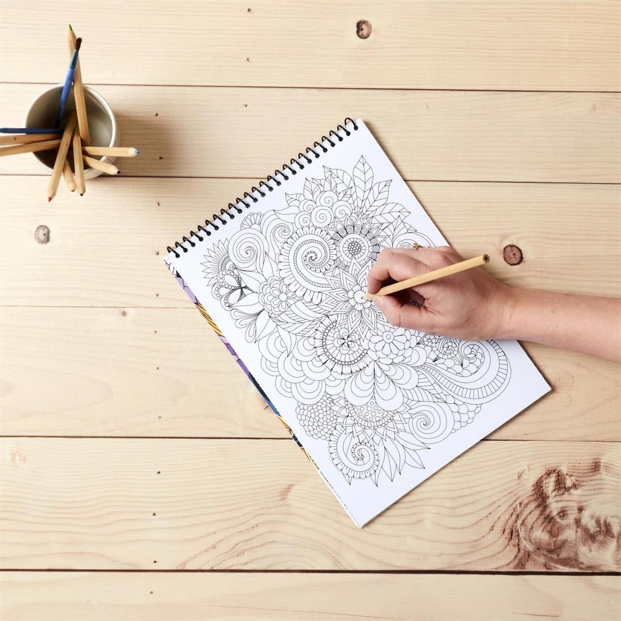 Voir la diapositive 3 : The concept Factory Livre de Coloriage 30 Pages  Adulte  21x29cm Blanc