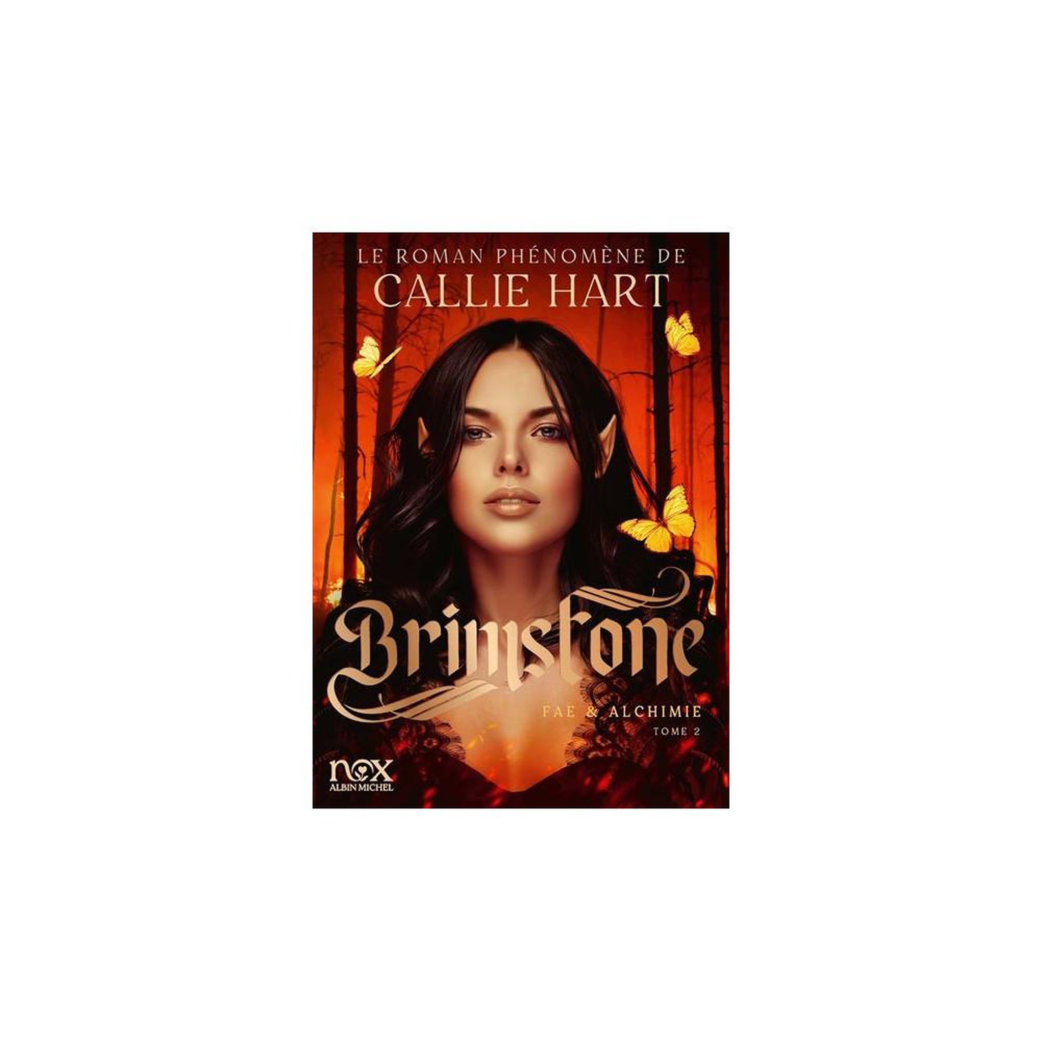 Brimstone – fae & alchimie tome 2, roman fantasy grand format, quicksilver