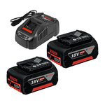 BOSCH Bosch Professional - Starter Set batterie 2x5,0Ah