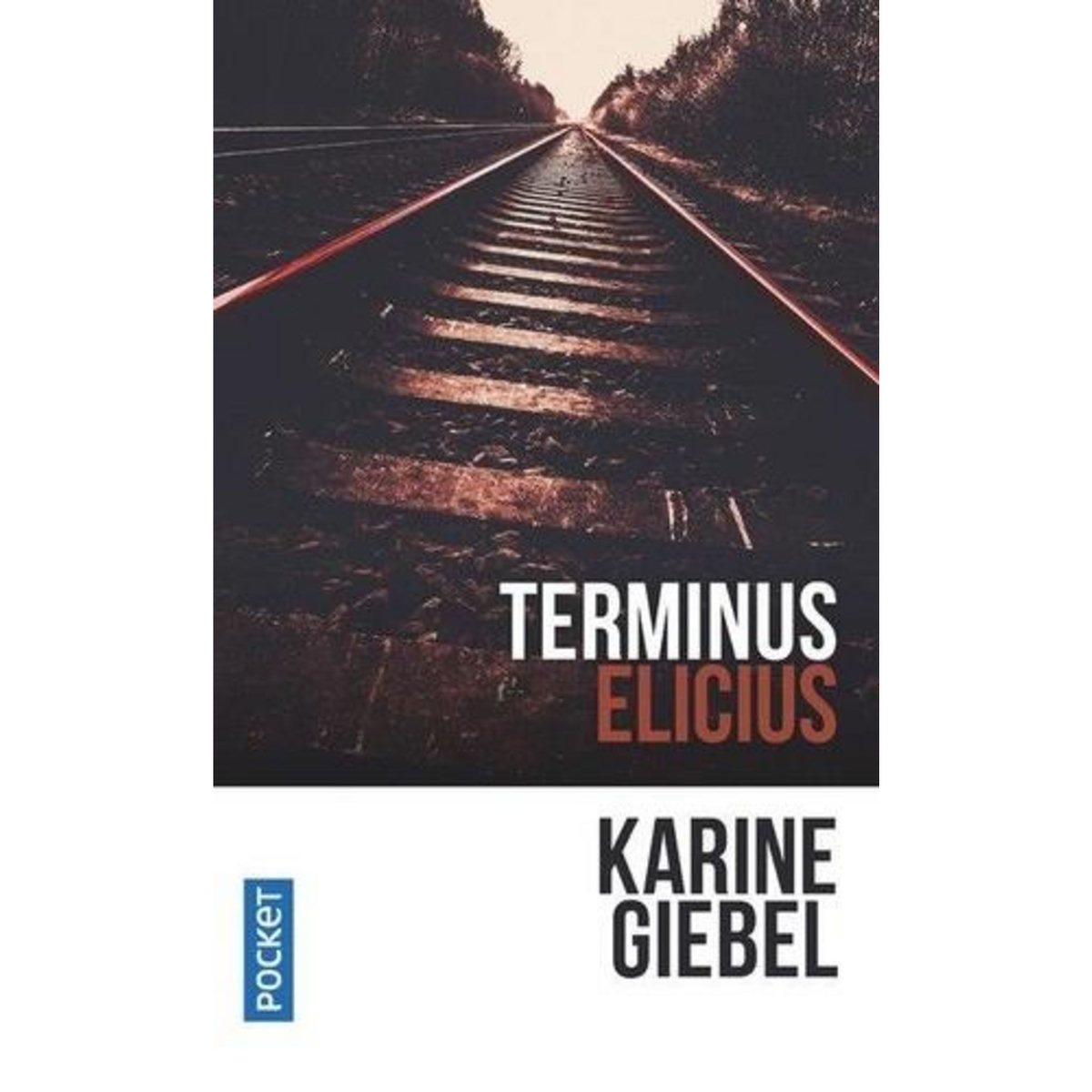 TERMINUS ELICIUS, Giebel Karine
