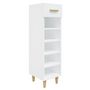 Voir la diapositive 2 : VIDAXL Armoire a chaussure Blanc brillant 30x35x105 cm Bois ingenierie