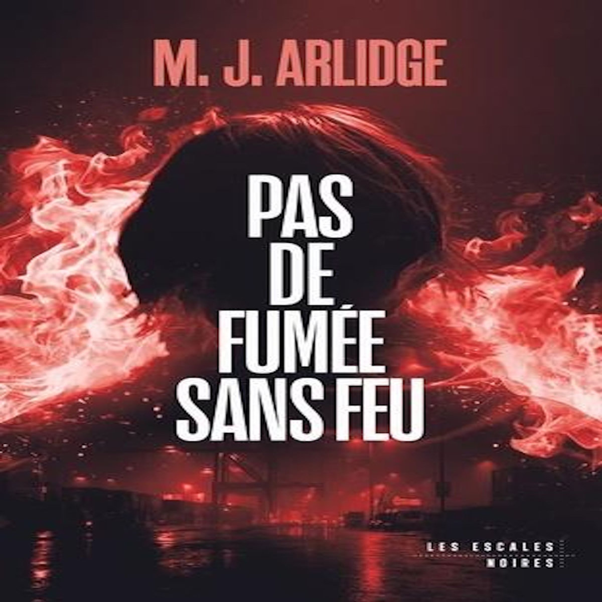 PAS DE FUMEE SANS FEU, Arlidge M. J.