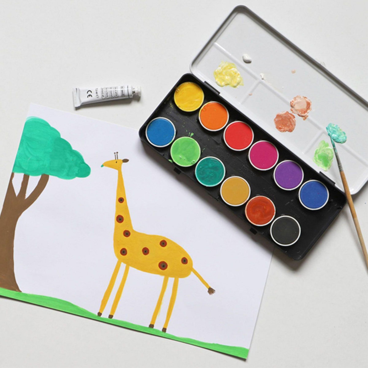 PRIMO Boîte d'aquarelle fine 12 couleurs Ø 30 mm