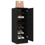 Voir la diapositive 4 : VIDAXL Armoire a chaussures Noir 32x35x92 cm Bois d'ingenierie