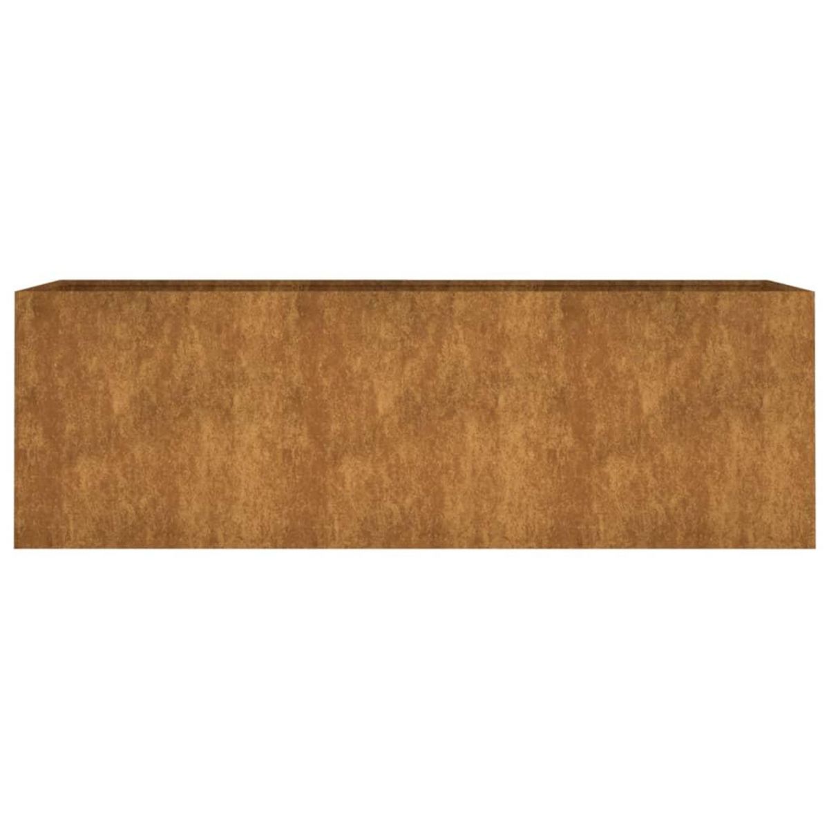 VIDAXL Lit sureleve de jardin 120x40x40 cm acier corten
