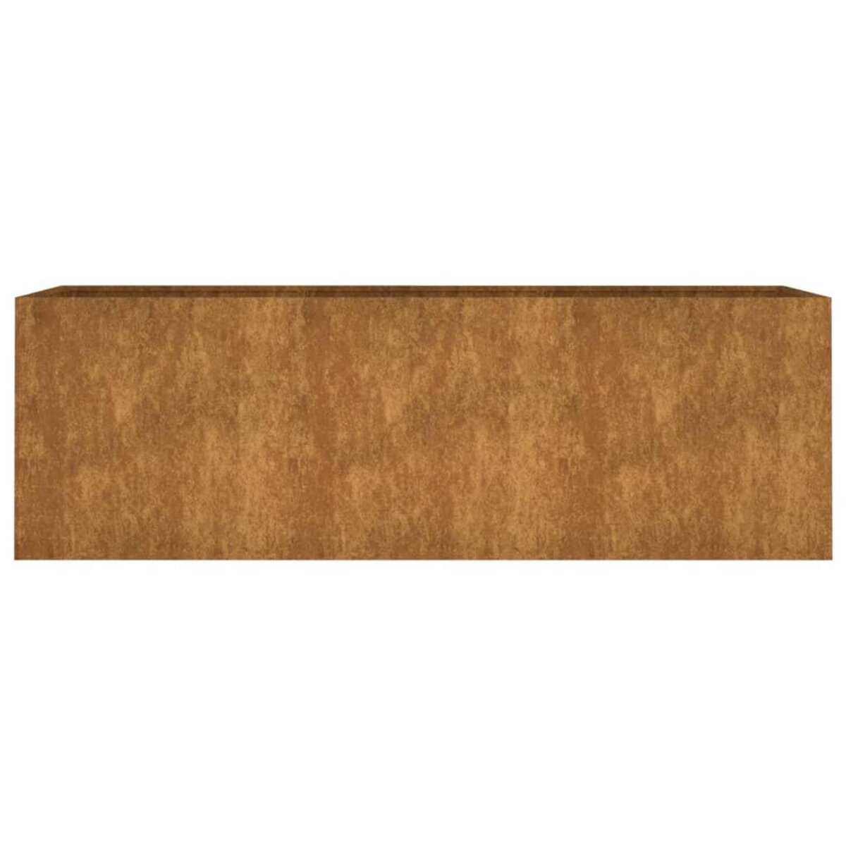VIDAXL Lit sureleve de jardin 120x40x40 cm acier corten