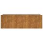 Voir la diapositive 4 : VIDAXL Lit sureleve de jardin 120x40x40 cm acier corten