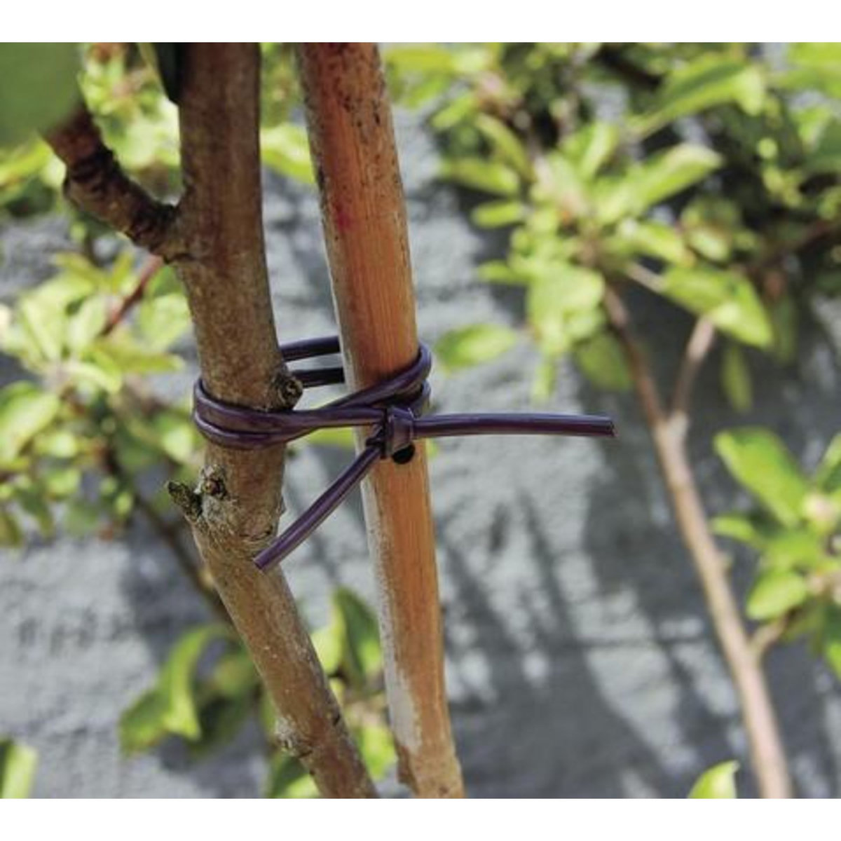 Nortene Lien élastique tubulaire - Marron - 40m 2,5mm