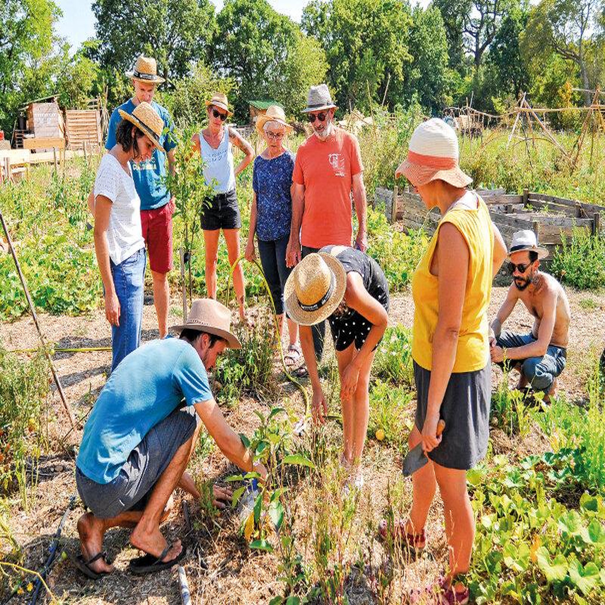 Voir la diapositive 3 : Smartbox Atelier écologique de permaculture et visite guidée d'une ferme à montpellier - coffret cadeau sport & aventure