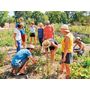 Voir la diapositive 3 : Smartbox Atelier écologique de permaculture et visite guidée d'une ferme à Montpellier - Coffret Cadeau Sport & Aventure