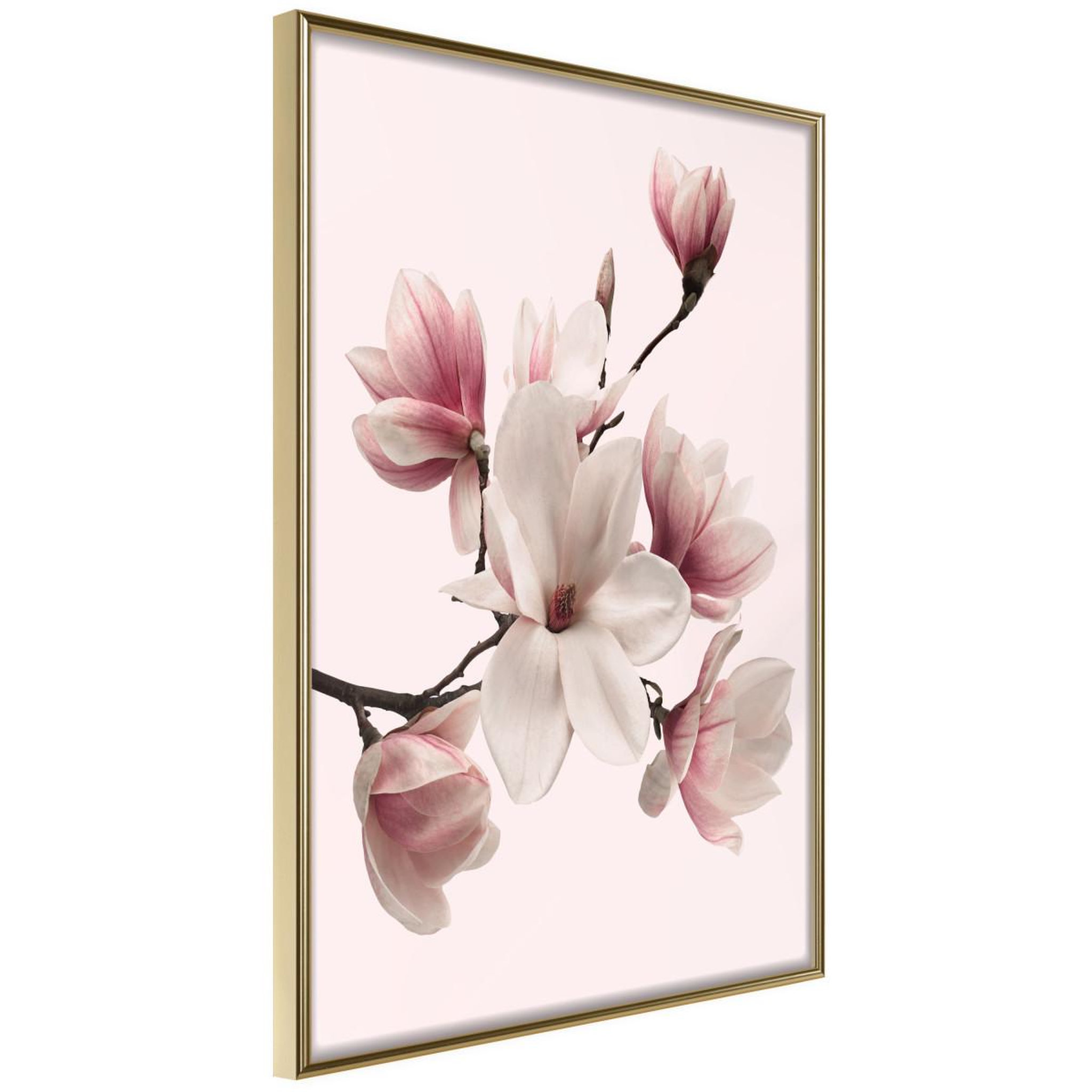 Paris Prix Affiche murale encadrée  blooming magnolias i