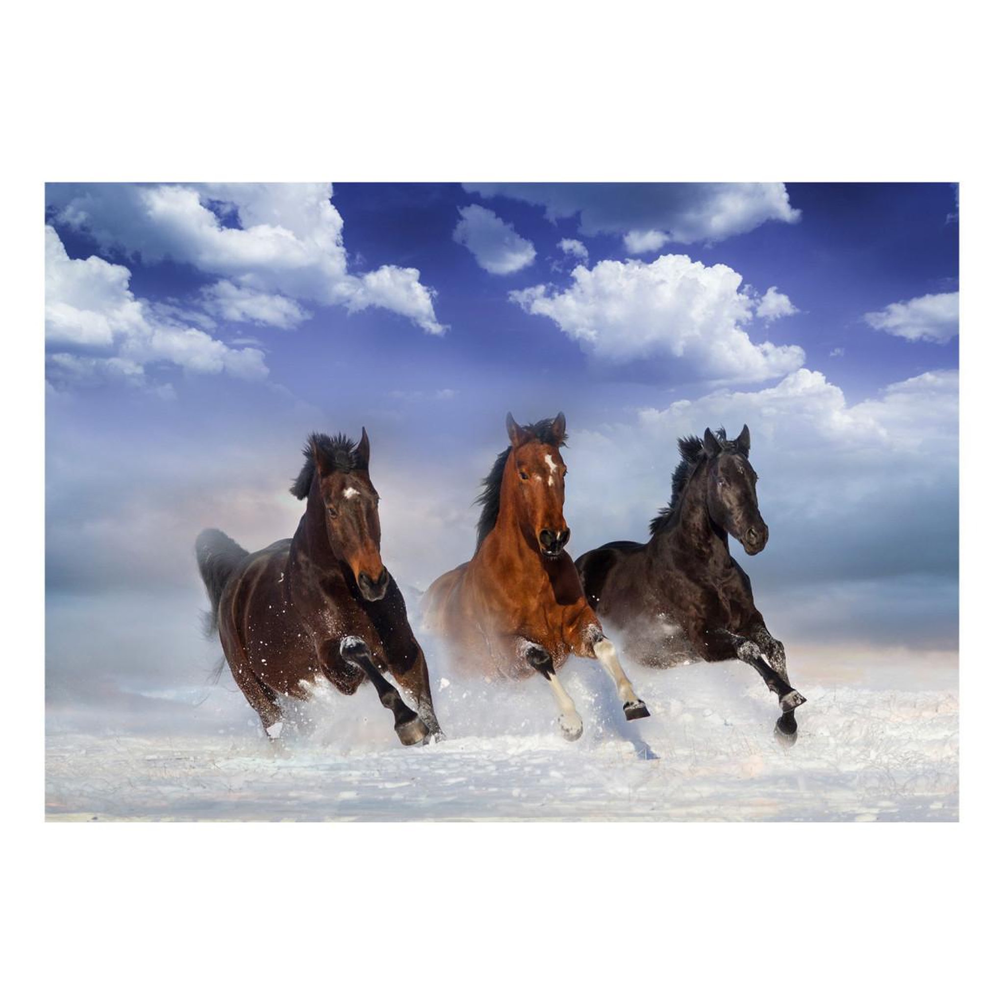 Voir la diapositive 2 : Paris Prix Papier peint  horses in the snow