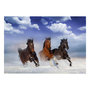 Voir la diapositive 2 : Paris Prix Papier Peint  Horses in the Snow