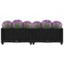 Voir la diapositive 3 : VIDAXL Lit sureleve 80x40x23 cm Polypropylene