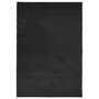 Voir la diapositive 2 : VIDAXL Tapis OVIEDO a poils courts noir 140x200 cm