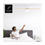 Voir la diapositive 4 : Taurus Ventilateur plafonnier POLAR 3B