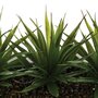 Voir la diapositive 3 : ATMOSPHERA Centre de table 3 Aloe vera artificielles - H. 17 cm