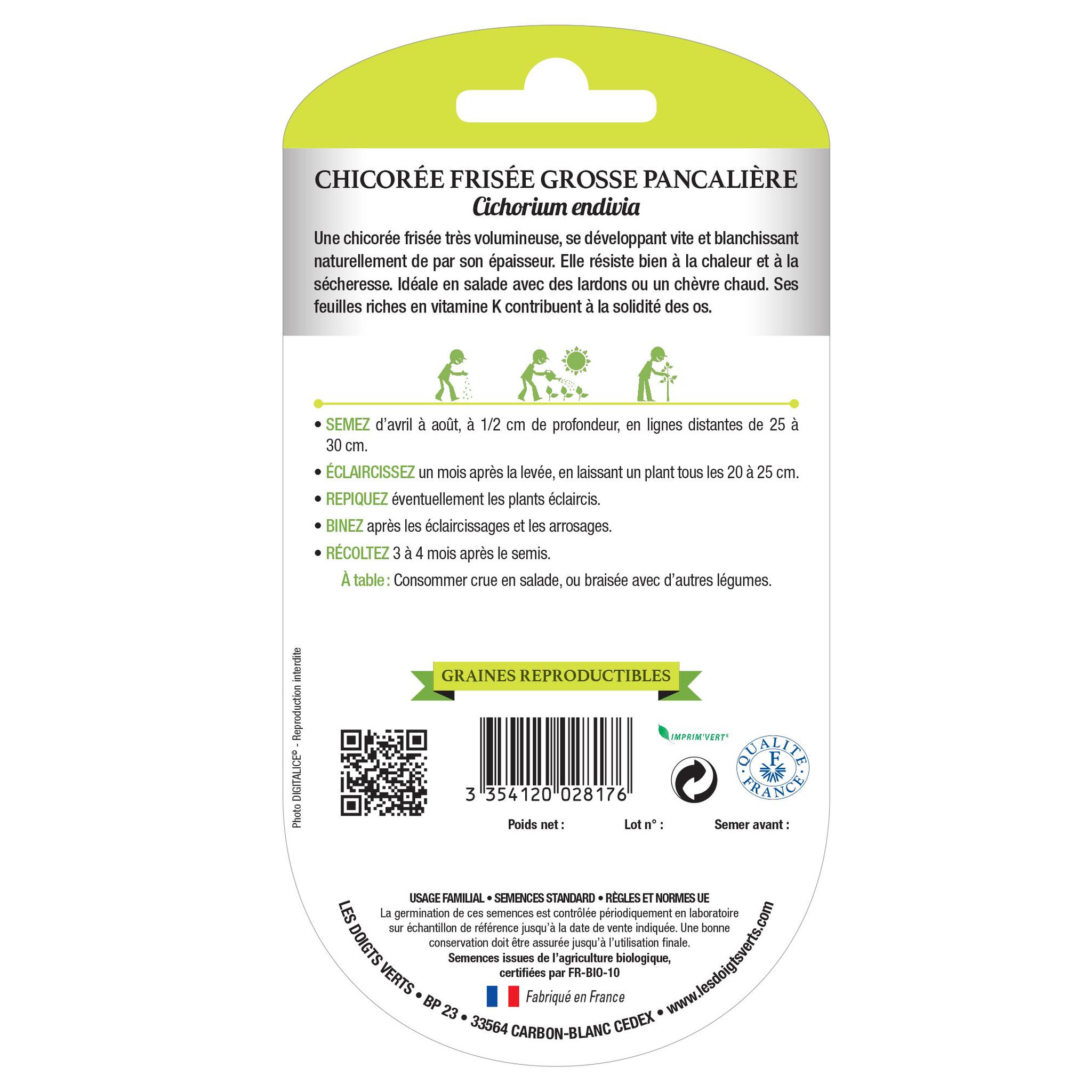 LES DOIGTS VERTS Graines Chicorée Frisée Grosse Pancalière BIO Les Doigts Verts