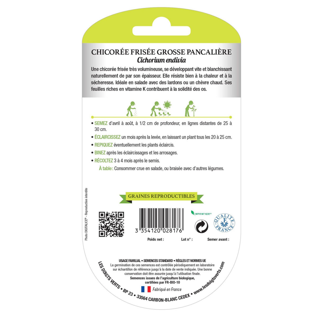 LES DOIGTS VERTS Graines Chicorée Frisée Grosse Pancalière BIO Les Doigts Verts