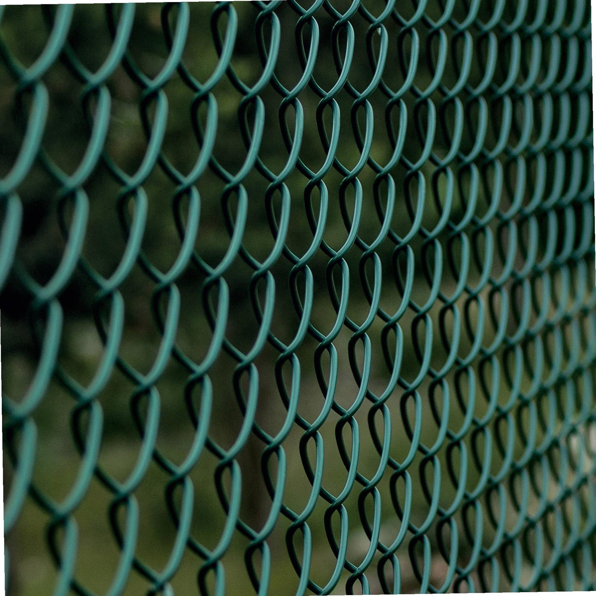 Voir la diapositive 1 : WERKAPRO Grillage maille losange 10 m Werka Pro