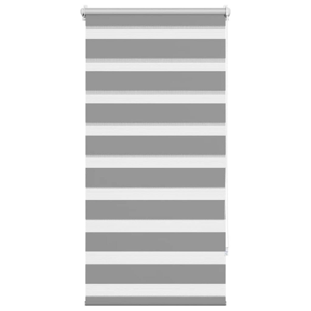 VIDAXL Store 80 x 150 cm Gris