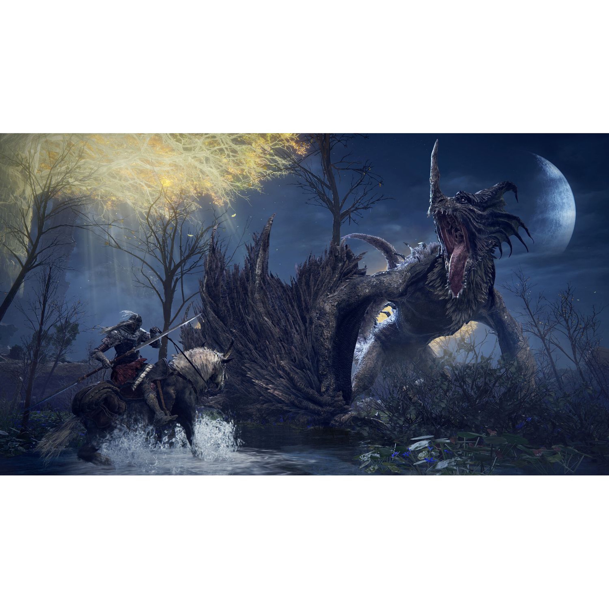 Voir la diapositive 6 : Elden Ring PS4