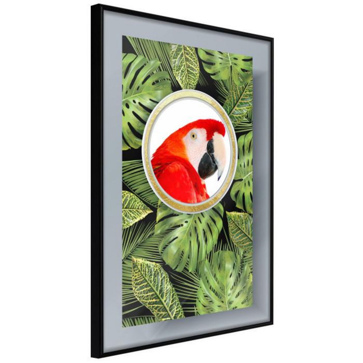 Paris Prix Affiche Murale Encadrée  Parrot Says Hi