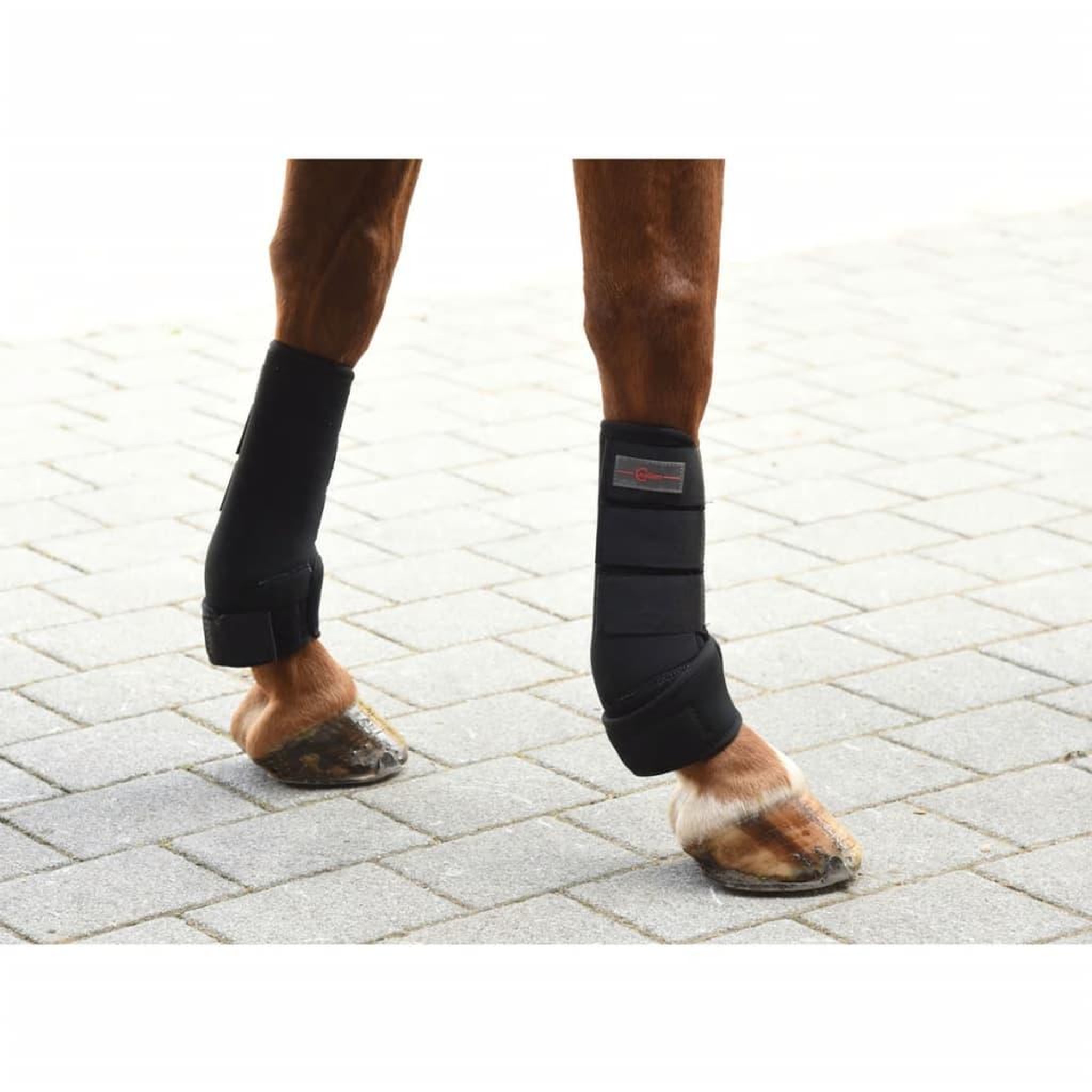 Voir la diapositive 4 : KERBL Kerbl Ensemble de guetres de cheval 4 pcs Complet Noir 320133