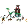 LEGO Ninjago 70604 - L'île de la Veuve du Tigre