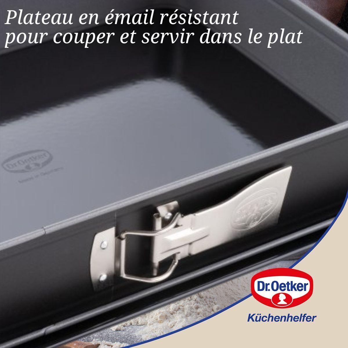 DR.OETKER Moule à gâteau et plat four 38 x 25 x 7 cm Dr Oetker Back-Idee Kreativ