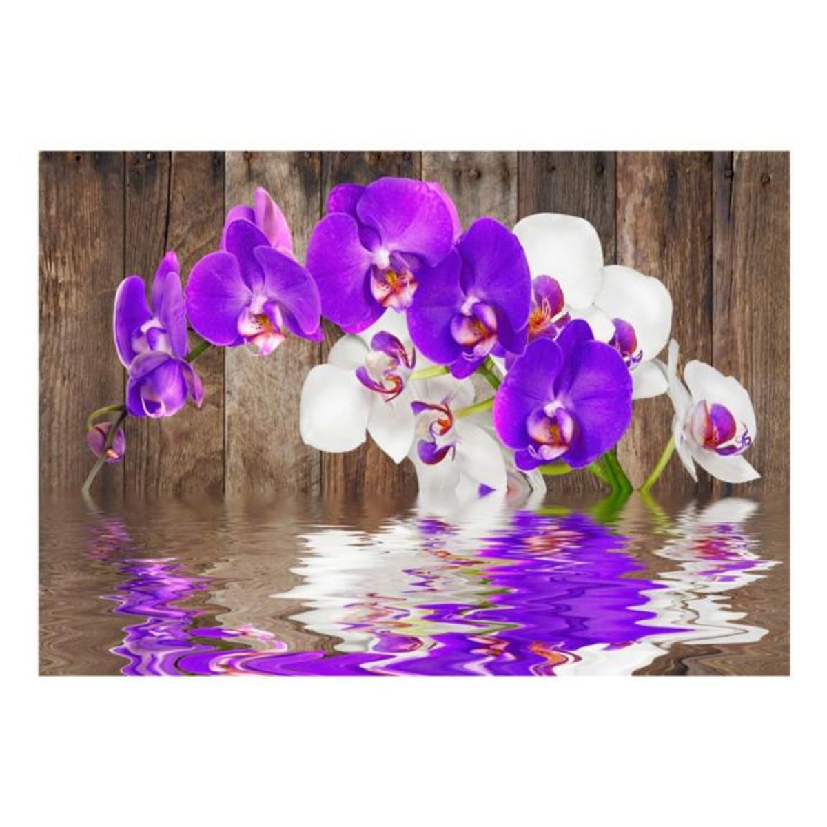 Paris Prix Papier Peint  Connection