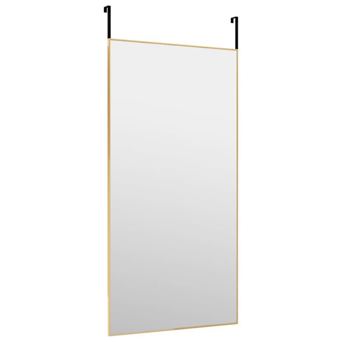 VIDAXL Miroir de porte Dore 50x100 cm Verre et aluminium