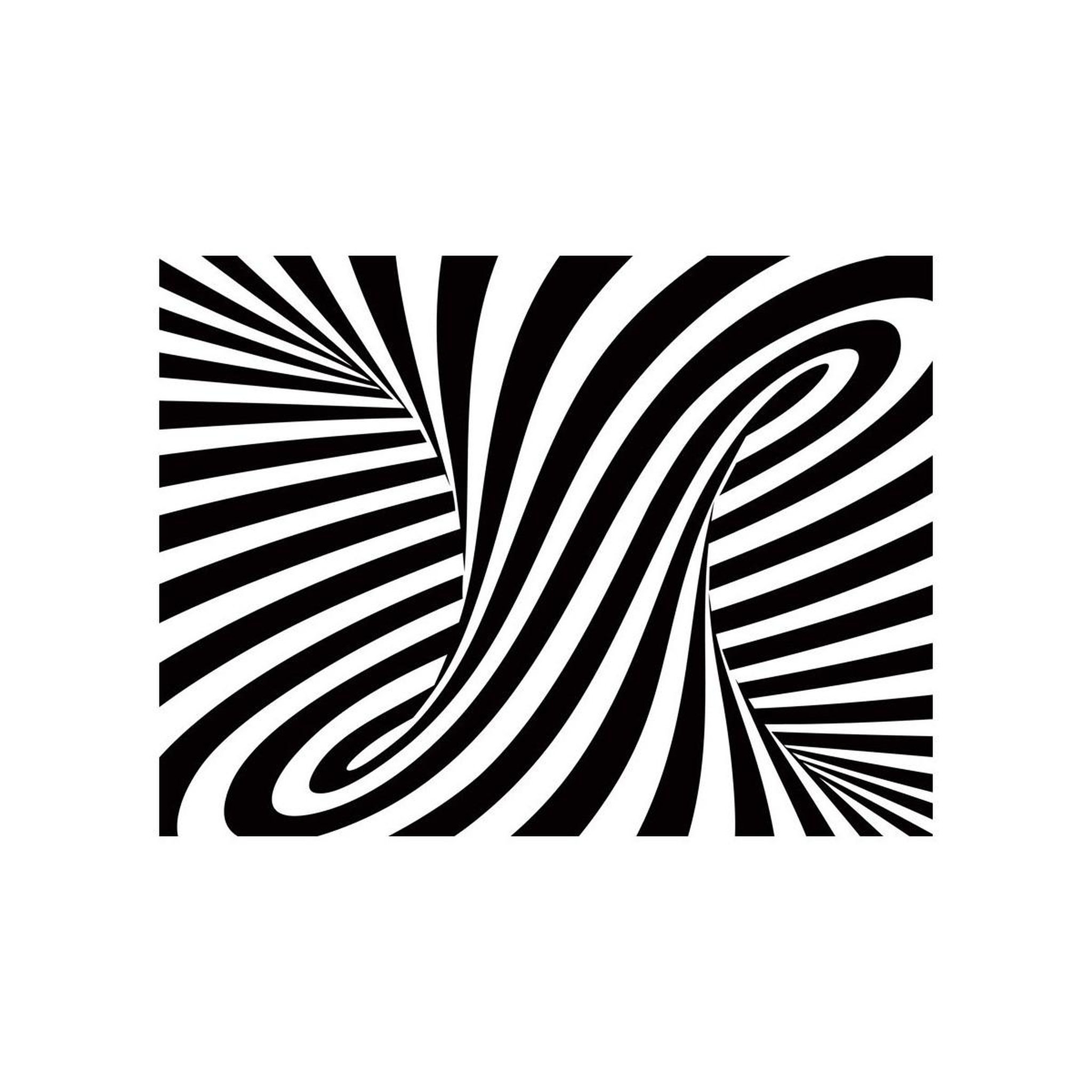 Voir la diapositive 2 : Paris Prix Papier peint  art optique : noir & blanc