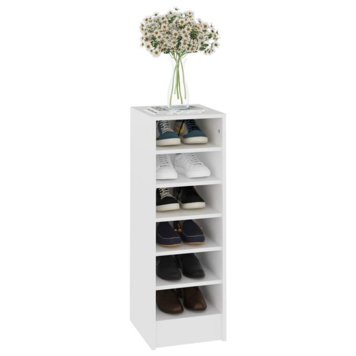 VIDAXL Armoire à chaussures Blanc 31,5x35x90 cm Bois d ingénierie