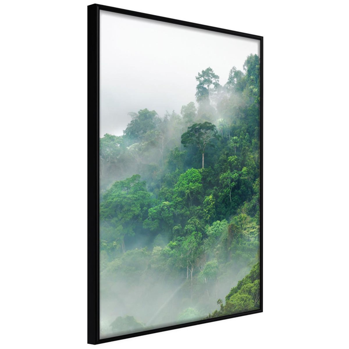 Paris Prix Affiche Murale Encadrée  Green Lungs of the Earth II