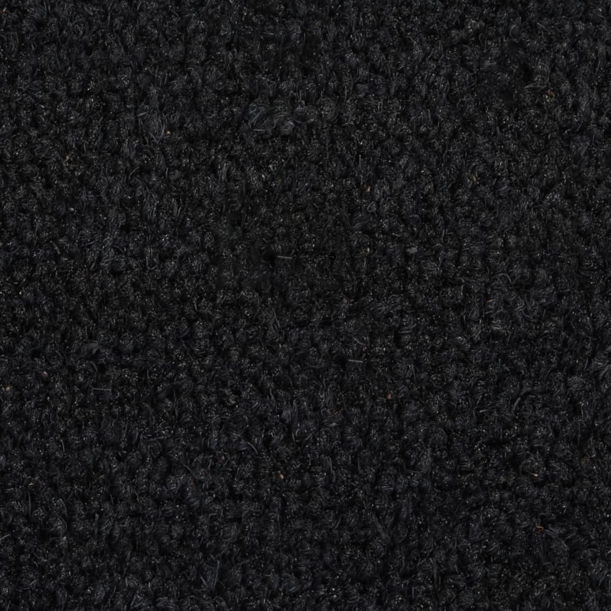 VIDAXL Tapis de porte noir 50x80 cm fibre de coco touffete