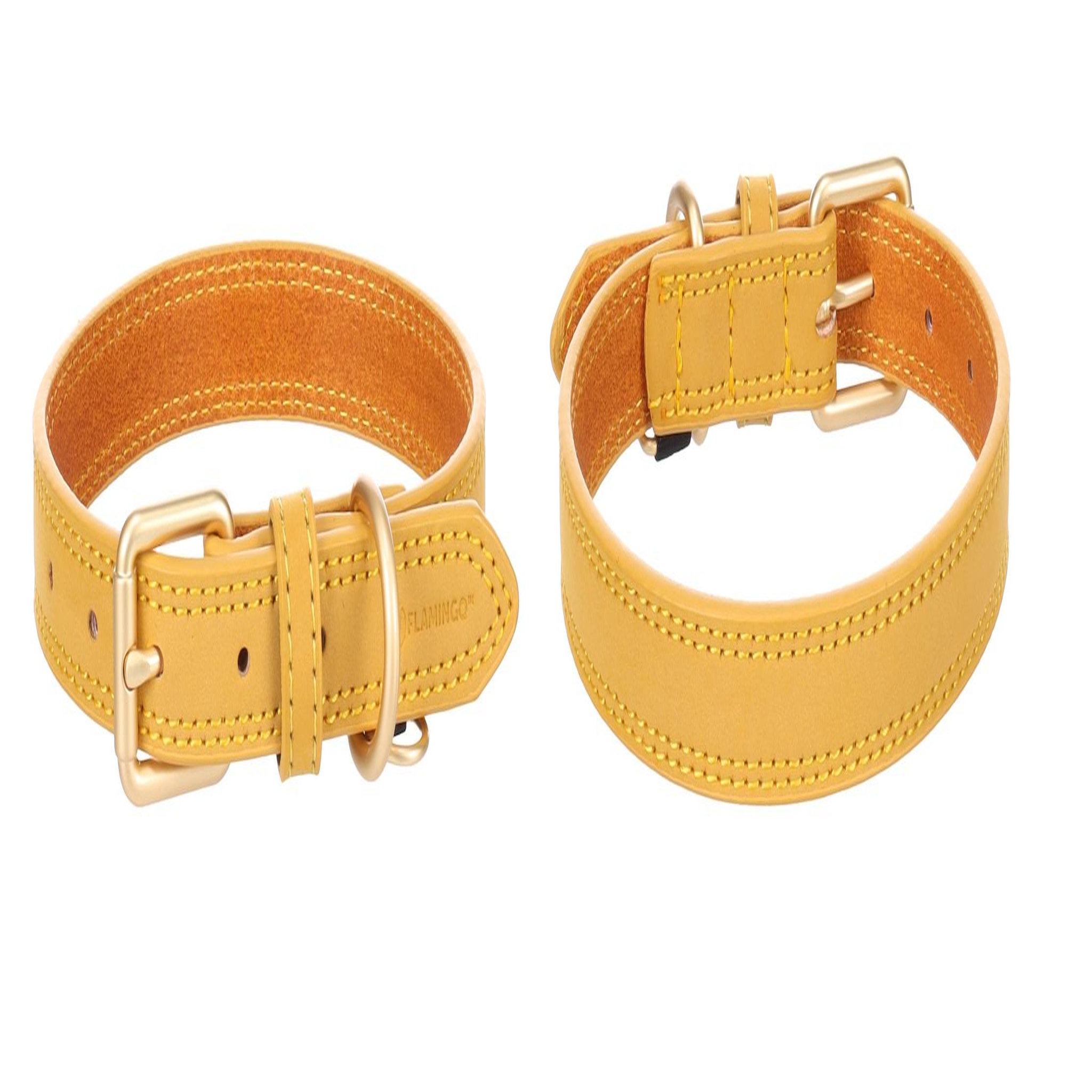 Voir la diapositive 4 : Eden Collier pour chien virginia en cuir