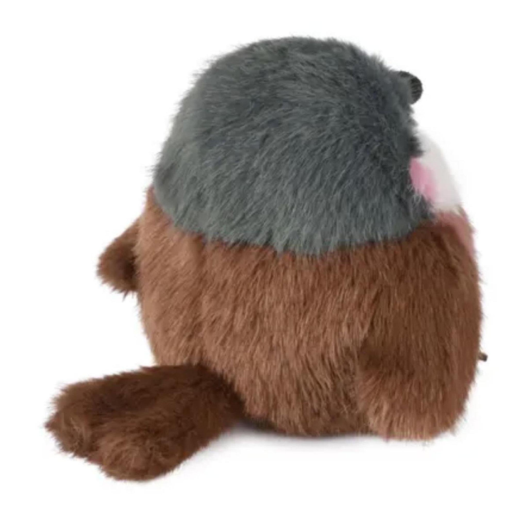 Voir la diapositive 2 : DOUDOU ET COMPAGNIE Les Cui-Cui Paradis - Moineau