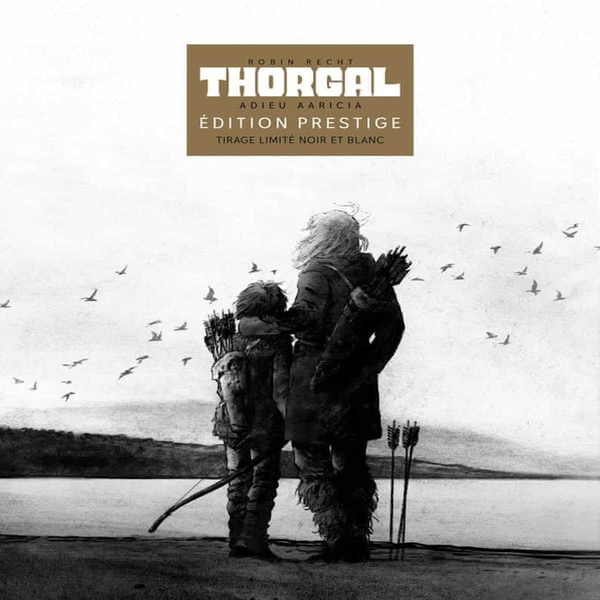 THORGAL : ADIEU AARICIA. EDITION SPECIALE EN NOIR & BLANC, Recht Robin