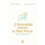 S'EMERVEILLER COMME LE PETIT PRINCE. MANUEL POUR REENCHANTER VOTRE QUOTIDIEN, Michaud Christine