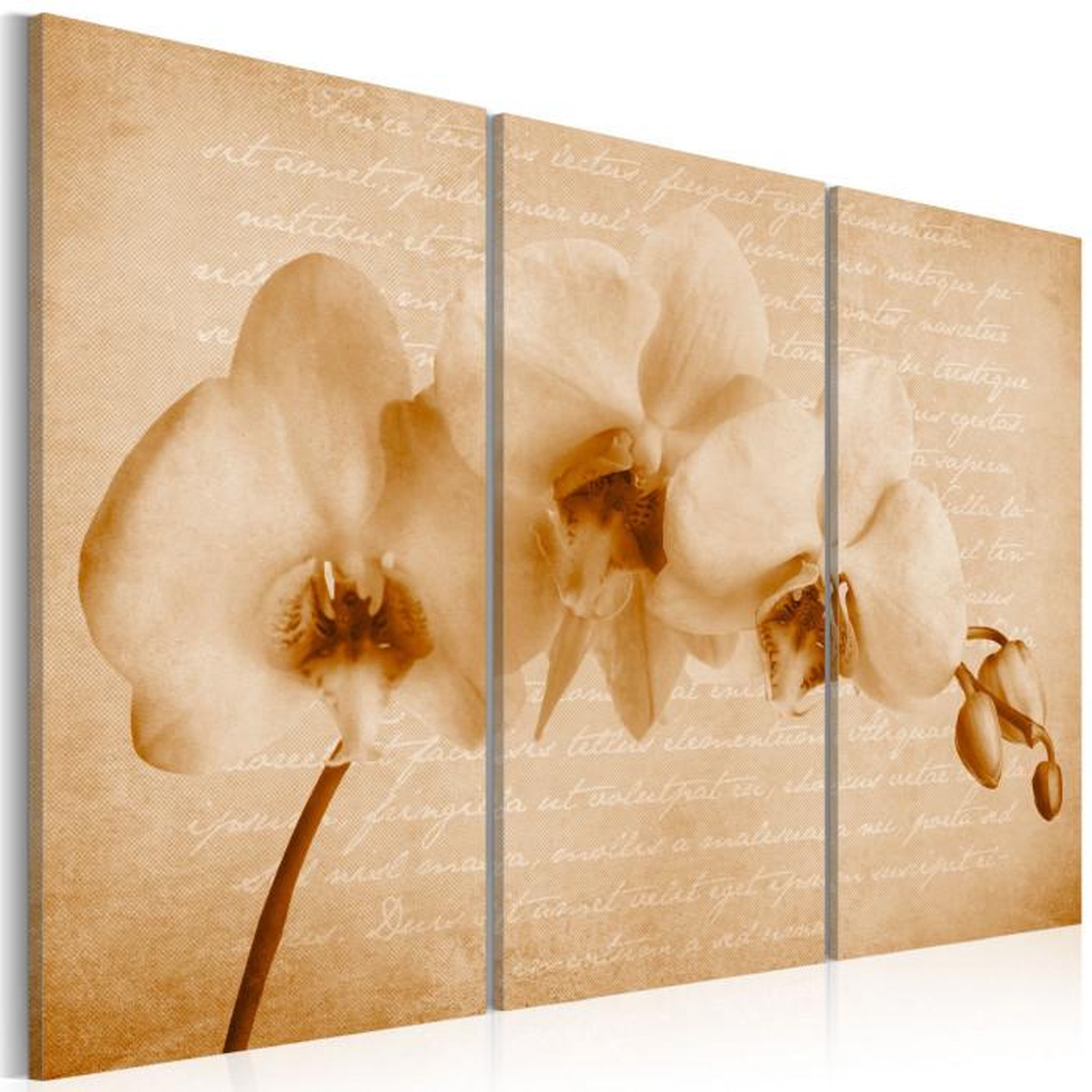Paris Prix Tableau Imprimé  Orchidée Vintage. Coloris disponibles : Multicolore