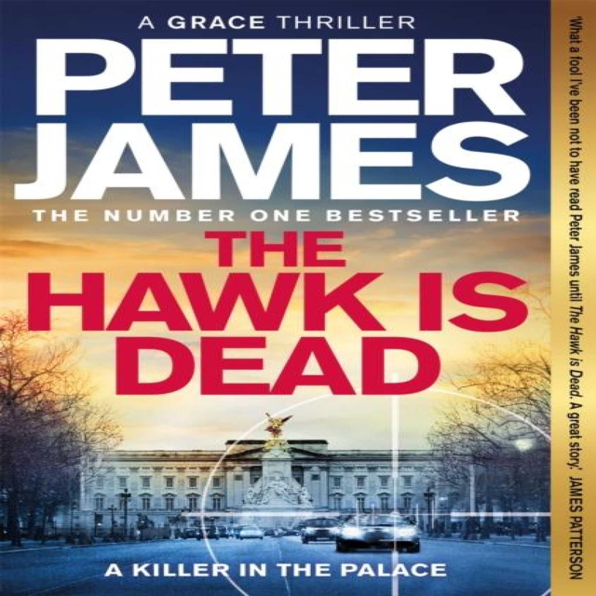 LIVRES The Hawk Is Dead - Peter James