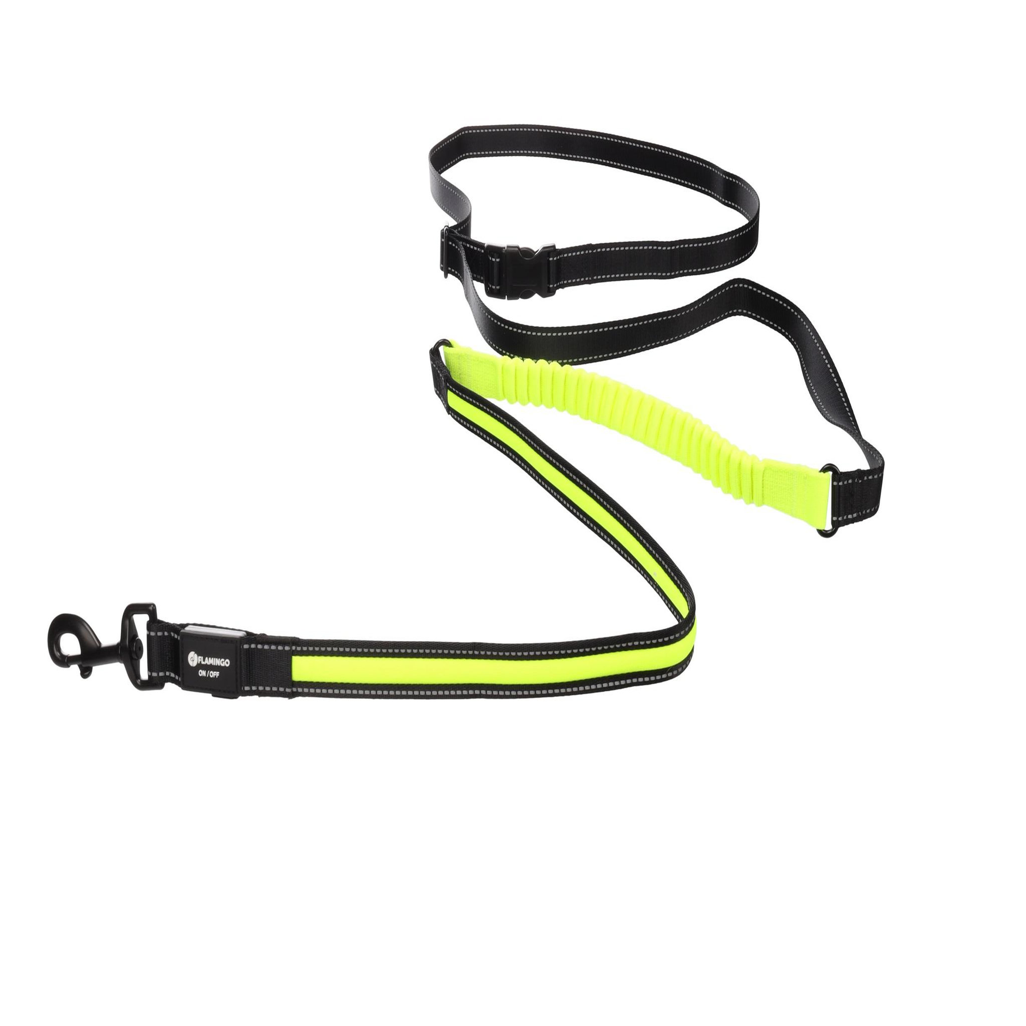 Eden Laisse de jogging led réfléchissante pour chien
