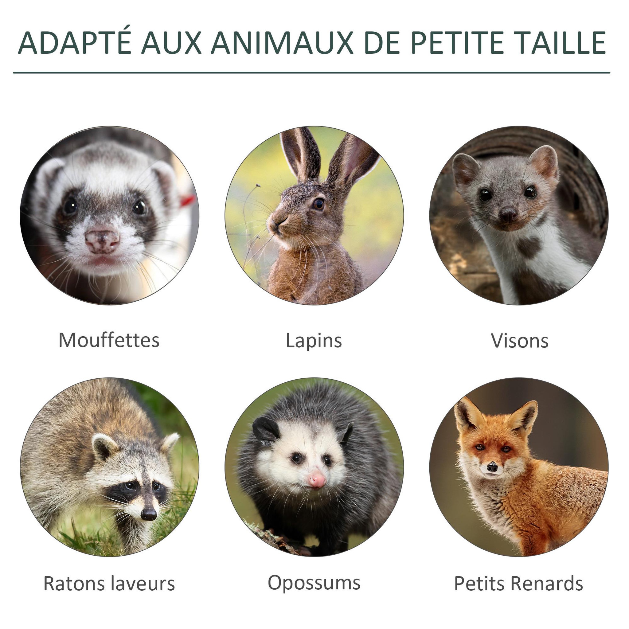 Voir la diapositive 6 : PAWHUT Piège de capture pour petits animaux type lapin rat - 2 entrées + poignée - dim. 60L x 18l x 20H cm - métal vert