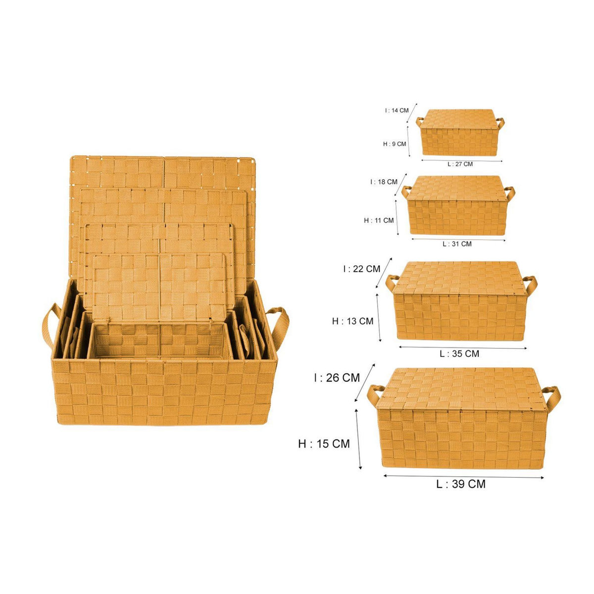 TOILINUX Lot de 4 Corbeilles avec sangles et couvercles en Polypropylène